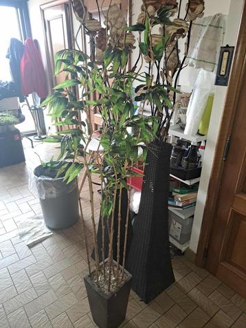 3 Kunstplanten te koop! beschikbaar voor biedingen