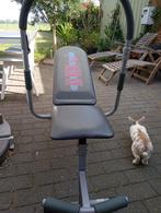 Ab King Pro, Sport en Fitness, Ophalen, Gebruikt, Buik, Fitnessbank