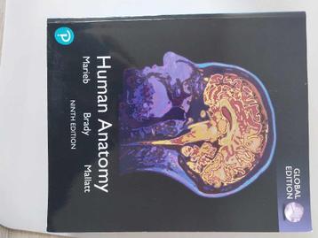 Human anatomy beschikbaar voor biedingen