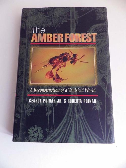 The Amberforest, Boeken, Wetenschap, Zo goed als nieuw, Ophalen