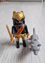 Set spécial Playmobil 4644 : Guerrier avec loup, Enfants & Bébés, Jouets | Playmobil, Comme neuf, Ensemble complet, Enlèvement ou Envoi