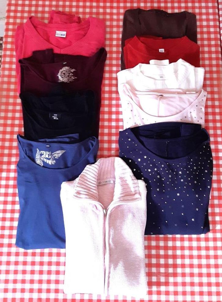 dames pulls / truien lange mouwen 46/48  XXL, Kleding | Dames, Dames-kledingpakketten, Gedragen, Maat 46/48 (XL) of groter, Ophalen