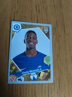 Panini sticker Charly Musonda jr Chelsea, Ophalen of Verzenden, Zo goed als nieuw, Sticker