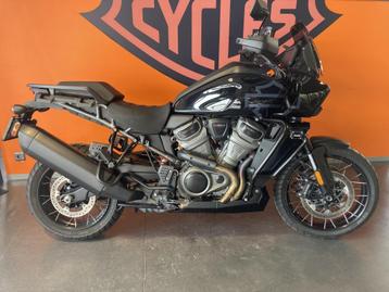 Harley-Davidson Tour Pan america s disponible aux enchères