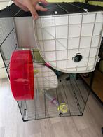 Cafe a hamster, Dieren en Toebehoren, Knaagdieren en Konijnen | Hokken en Kooien, Ophalen, Kooi, Gebruikt, 60 tot 90 cm