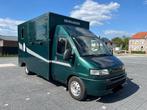 Paardencamionette, Dieren en Toebehoren, Paarden en Pony's | Trailers en Aanhangwagens, Ophalen