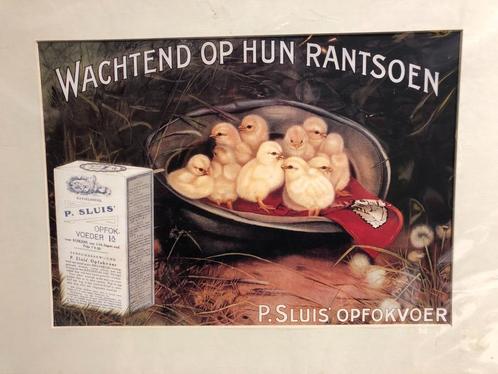 Affiche P. Sluis élevant de la nourriture avec des poussins., Collections, Marques & Objets publicitaires, Utilisé, Panneau publicitaire