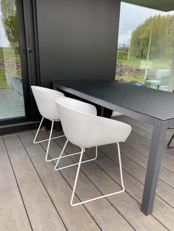 Set 4 tuinstoelen of binnenstoelen, kuipvorm, nieuw beschikbaar voor biedingen