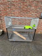Konijnenhok met verdieping, Dieren en Toebehoren, Ophalen, Kooi, Gebruikt, Cavia