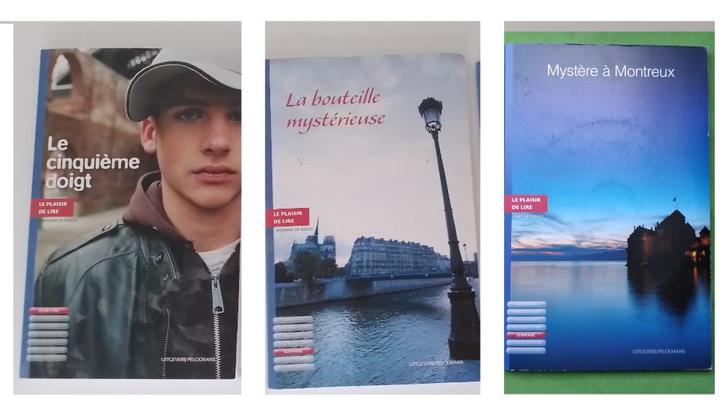 Gandhi chatroom ontvoerd oorlogswond paardenjongen verloren, Boeken, Schoolboeken, Zo goed als nieuw, Ophalen of Verzenden