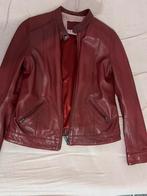 veste en cuir, Kleding | Dames, Jasjes, Kostuums en Pakken, Ophalen, Nieuw