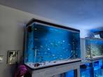 Aquarium zonder hoeken gebogen glass +filter..enz. 120x38x70, Dieren en Toebehoren, Ophalen of Verzenden, Zo goed als nieuw