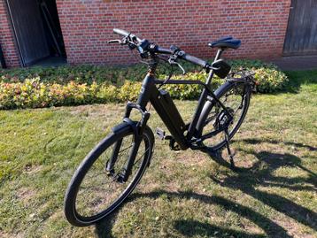 QWIC Speed pedelec RD 11 beschikbaar voor biedingen