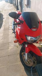 honda vtr firestorm, Motoren, Motoren | Honda, Particulier
