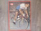 wielerposter  1963 federico bahamontes, Verzenden, Gebruikt