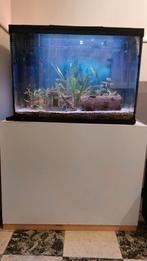 Superfish aquarium, vissen&acces, wegens overlijden, 90 euro, Ophalen, Gebruikt, Gevuld zoetwateraquarium
