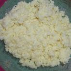 Kefirbloemetjes, Diversen, Levensmiddelen, Ophalen of Verzenden