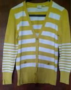 Gilet Jaune-Taille M, Kleding | Dames, Truien en Vesten, Ophalen, Gedragen, Maat 38/40 (M), Geel