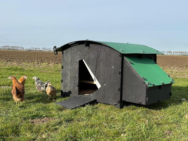 Kunststof Kippenhok – Nestera Large Grondmodel, Dieren en Toebehoren, Pluimvee | Toebehoren, Nieuw, Kippenhok of Kippenren, Ophalen of Verzenden