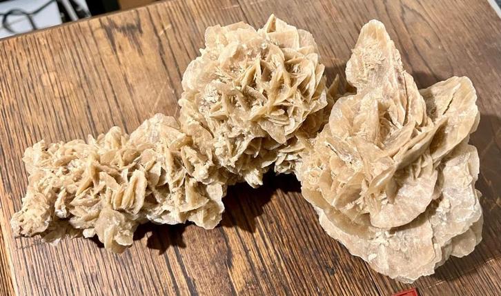 Grote Woestijnroos, Verzamelen, Mineralen en Fossielen, Overige typen, Ophalen