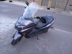 Honda forza 250cc, Motoren, Motoren | Honda, Particulier, Overig, 249 cc, 1 cilinder