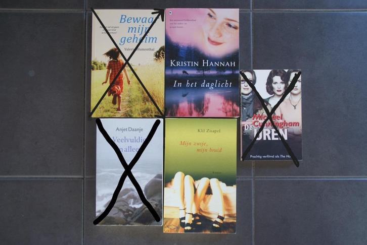 lot van nog 2 boeken romans : €3 per stuk of €4 voor 2, Boeken, Romans, Zo goed als nieuw, Ophalen of Verzenden