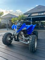 Yamaha Raptor 350  Homologué, Motoren, 350 cc