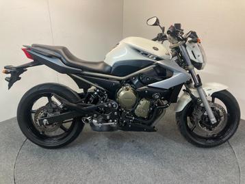 Yamaha XJ 6 bj.2012 ref. LS 2900