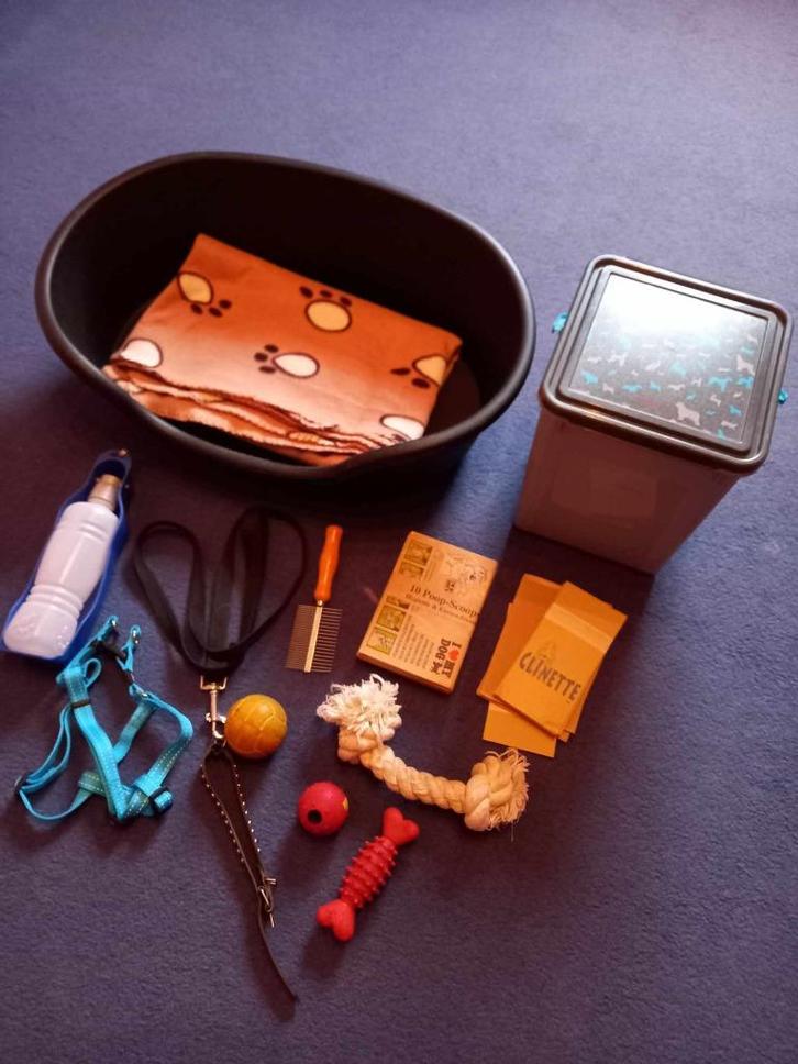 Lot petit chien (panier, jouets, plaid, harnais,….), Dieren en Toebehoren, Honden-accessoires, Gebruikt, Ophalen