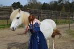 Brave  D of E pony gezocht, Dieren en Toebehoren, Merrie, 7 tot 10 jaar, D pony (1.37m tot 1.48m), Recreatiepony