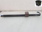 ACHTERKLEP MOTOR BMW X4 (G02) (|7424415|51247424415|), Auto-onderdelen, Gebruikt, BMW, Achterklep