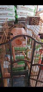 papegaai kooi, Ophalen, Gebruikt, Metaal, Vogelkooi