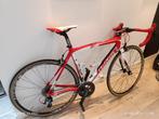 Triestina, Fietsen en Brommers, Fietsen | Racefietsen, Ophalen, Zo goed als nieuw, Carbon
