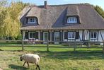 NORMANDIE, Exclus.domein, 1Ha, ZEE, 8 pers., Vakantie, 8 personen, Open haard, Dorp, Normandië, Picardie of Noord