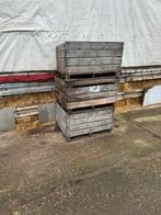 Paloxen tekoop, Zakelijke goederen, Landbouw | Aardappelen, Groenten, Fruit en Vlees, Ophalen