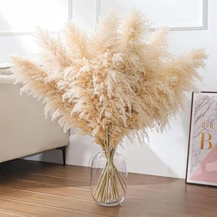 10 boeketten gedroogd pampasgras | Nieuw, Huis en Inrichting, Woonaccessoires | Droogbloemen, Nieuw, Verzenden