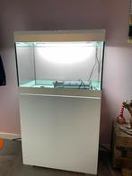 Aquarium oase styleline 125 wit (aquarium + meubel), Comme neuf, Enlèvement, Aquarium vide