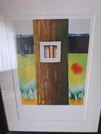 Offsetdruk Roger Raveel...kleine vaste prijs, Antiek en Kunst, Ophalen