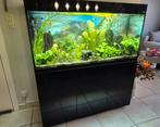 Aquael 150cm aquarium, Dieren en Toebehoren, Ophalen, Zo goed als nieuw