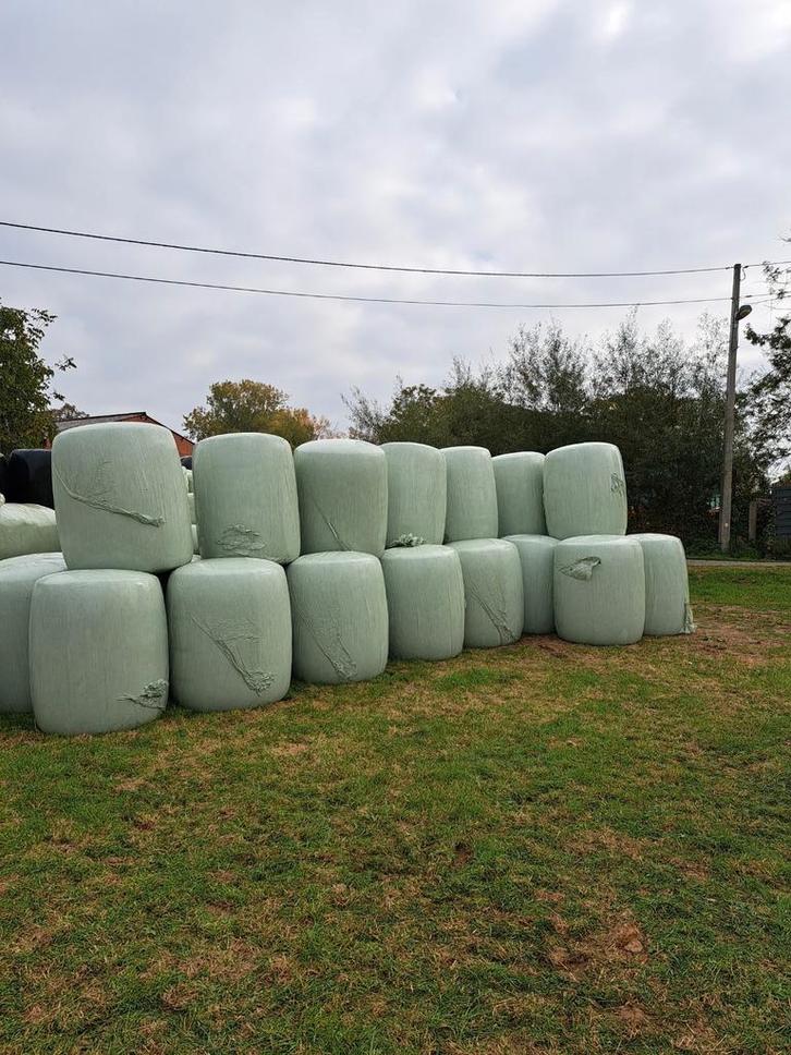 Maïsbalen 2025 te koop, Dieren en Toebehoren, Dierenvoeding, Ophalen