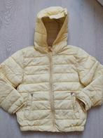 Jbc jasje, Kinderen en Baby's, Kinderkleding | Maat 122, Gebruikt, Meisje, Ophalen of Verzenden, JBC.