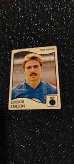 Panini/ Sticker/Lorenzo Staelens/Club Brugge / 1990, Verzamelen, Verzenden, Zo goed als nieuw, Poster, Plaatje of Sticker