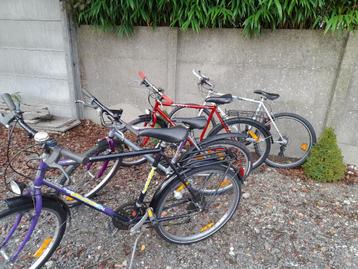 Verschillende jongens, herenfietsen beschikbaar voor biedingen