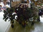 6 KUNSTPLANTEN, Ophalen