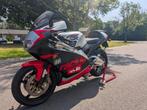 RS 250 Diablo, Motoren, 2 cilinders, Super Sport, Particulier, Meer dan 35 kW
