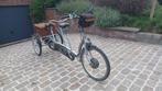 Van Raam Driewieltandem Twinny Plus, Fietsen en Brommers, Ophalen, Gebruikt, VAN RAAM