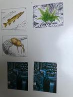 Stickers: reeks WWF Panini: nature in danger, Verzamelen, Stickers, Nieuw, Ophalen of Verzenden, Dier en Natuur