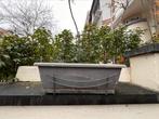 Planter(s) voor planten op terras, Balkon, Gebruikt, Minder dan 60 cm, Rechthoekig