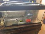 Aquarium Juwel 200L, Animaux & Accessoires, Enlèvement ou Envoi, Utilisé