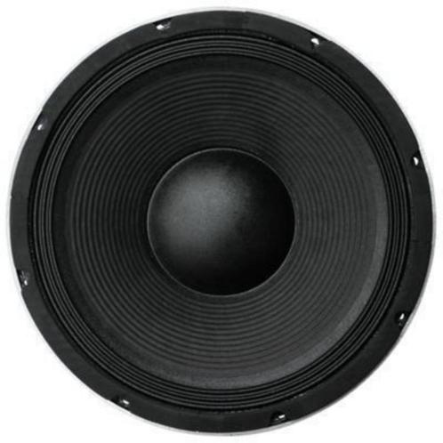30 Cm Bass Speaker 350 Watt 8 Ohm, Audio, Tv en Foto, Luidsprekerboxen, Nieuw, Overige typen, Ophalen of Verzenden